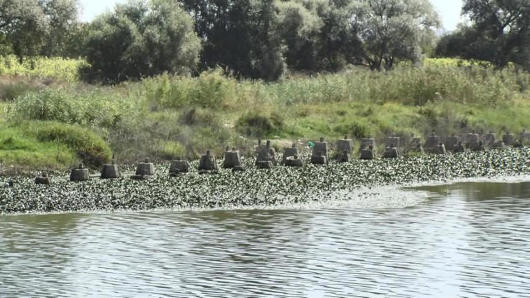 Büyükçekmece’de baraj suyu çekilince Çakmak Hattı beton siperleri ortaya çıktı 2 Büyükçekmece’de baraj suyu çekilince Çakmak Hattı beton siperleri ortaya çıktı