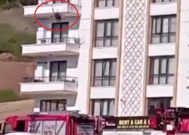 Doktor, önce sosyal medyadan veda etti, sonra kendini aşağı attı 1 Doktor, önce sosyal medyadan veda etti, sonra kendini aşağı attı