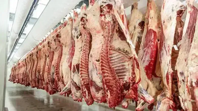 Et ithalatı rekor kırdı; 4 kat artış 3 Et ithalatı rekor kırdı; 4 kat artış