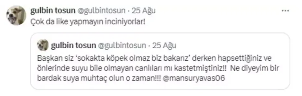 Gülbin Tosun, Mansur Yavaş'la ilgili paylaşımı sonrası zorunlu izne çıkarıldı