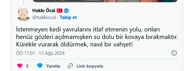 Hakkı Öcal: Yavru kedileri su dolu kovaya koyup öldürelim! 3 Hakkı Öcal: Yavru kedileri su dolu kovaya koyup öldürelim!