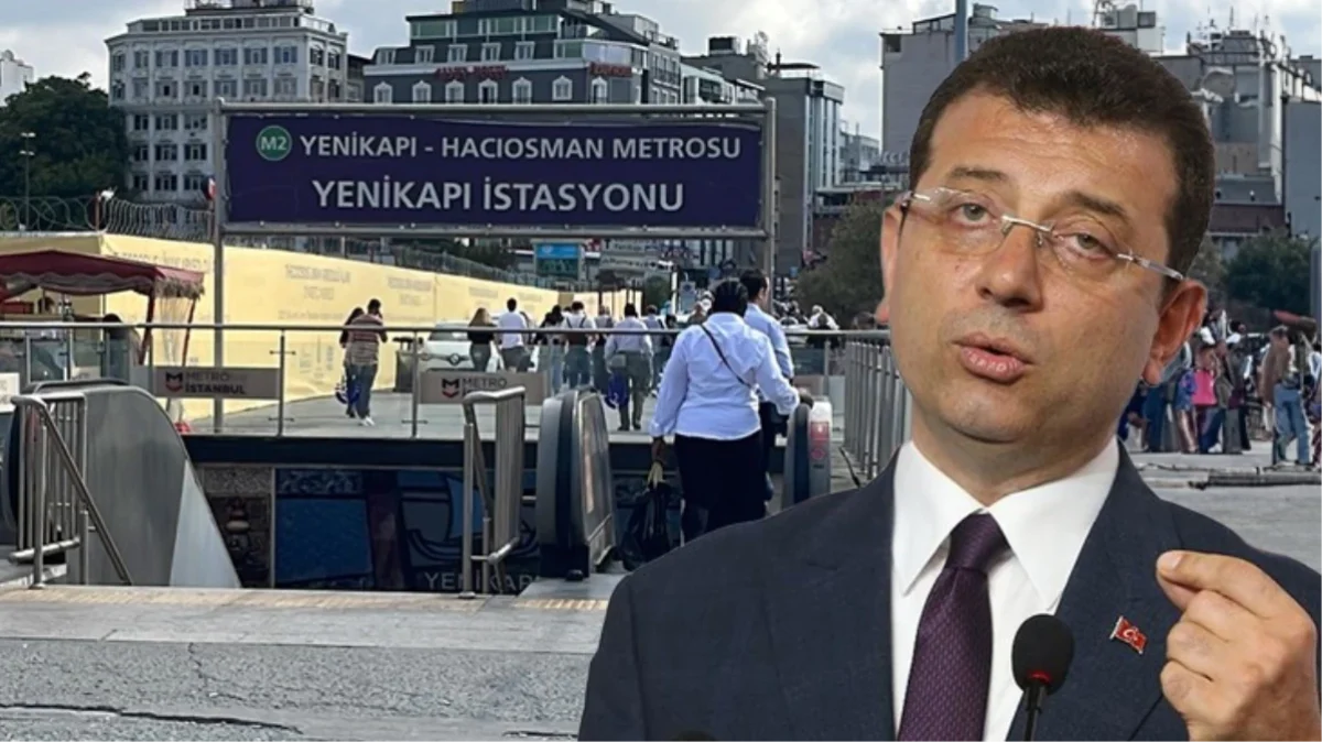 Sahipsiz köpeğin ısırdığı İrlandalı turistten İBB'ye dava: Mahkeme savunma istedi