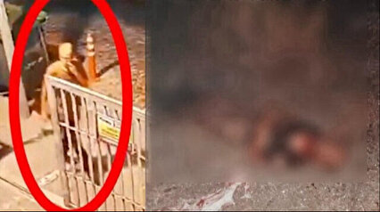 Fatih'te sahipsiz köpekler bir vatandaşı parçalayarak öldürdü 1 Fatih’te sahipsiz köpekler bir vatandaşı parçalayarak öldürdü