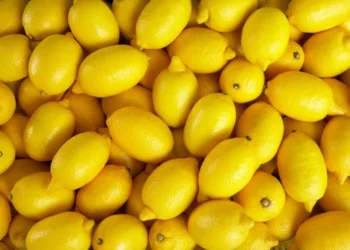 Haziran ayının zam şampiyonu limon oldu