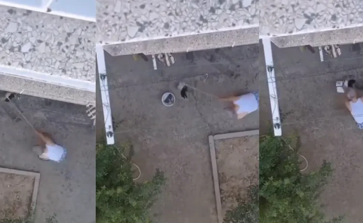 Yasa, sokak hayvanlarına karşı olanların elini güçlendirdi: Manisa'da 3 yavru kedi sopayla katledildi 1 Yasa, sokak hayvanlarına karşı olanların elini güçlendirdi: Manisa’da 3 yavru kedi sopayla katledildi