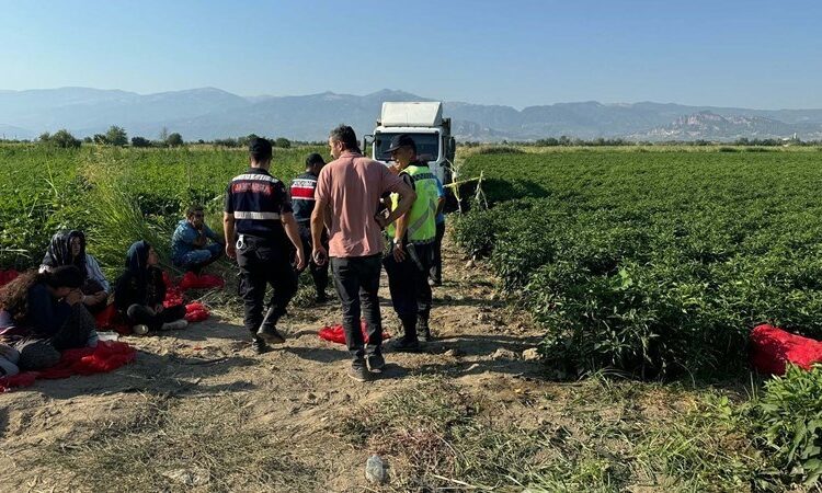 Kamyon şoförü tarlada uyuyan çocuğu ezdi, aile şoförü vurup öldürdü 1 Kamyon şoförü tarlada uyuyan çocuğu ezdi, aile şoförü vurup öldürdü