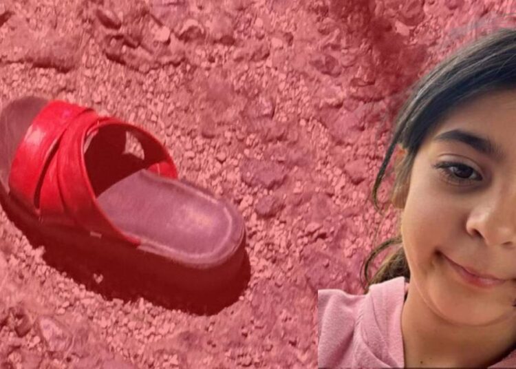 Narin'in gözaltına alınan ağabeyi serbest bırakıldı 1 Jandarma komutanından kayıp Narin açıklaması: 1 kişi gözaltına alındı