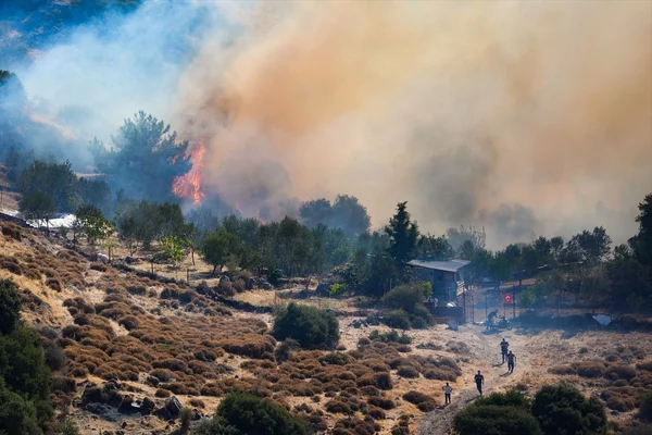 Orman yangınlarıyla ilgili 6 kişi gözaltına alındı