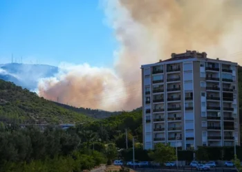 Orman yangınlarıyla ilgili 6 kişi gözaltına alındı