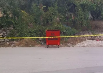 Mersin’de çöpte bulunan bebeği, annesinin attığı ortaya çıktı