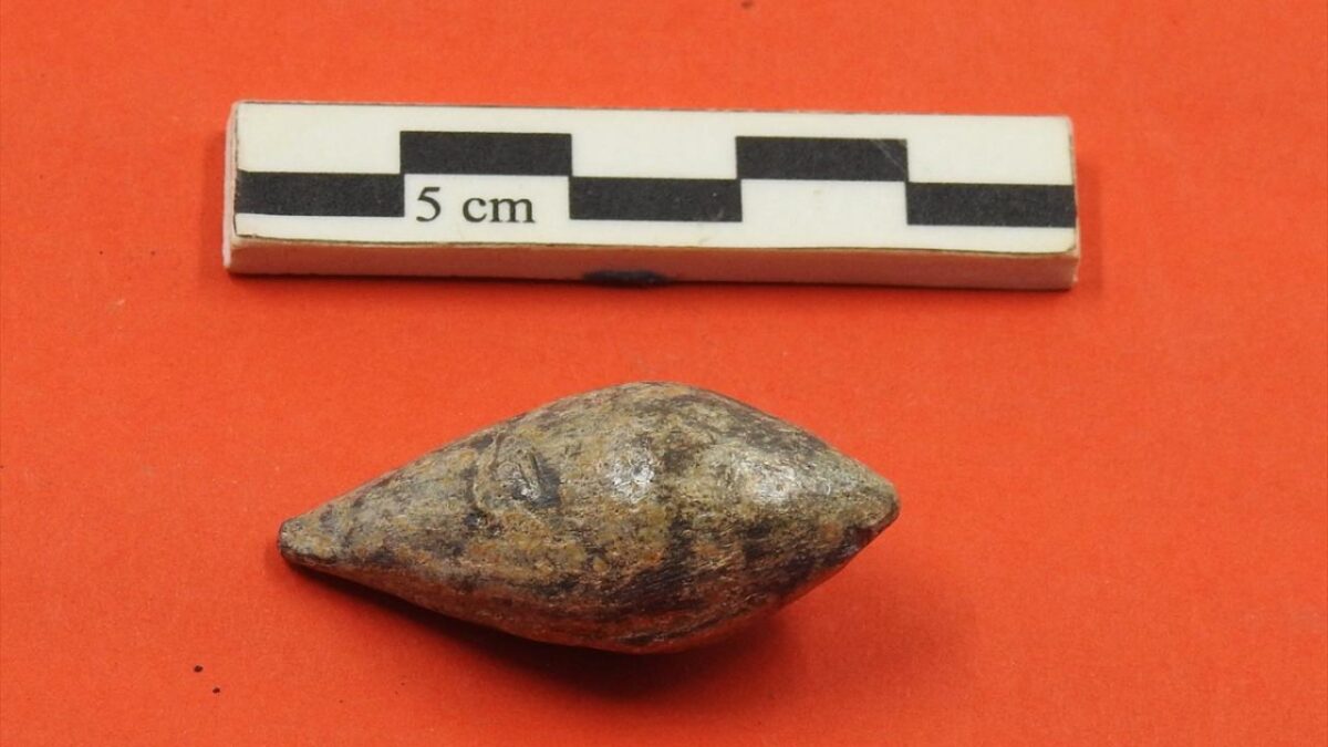 Çanakkale'deki kazıda 3 bin 900 yıllık silindir mühür bulundu