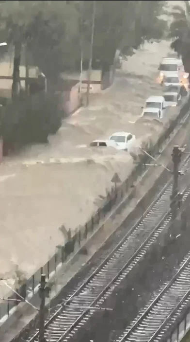 Adana’da şiddetli yağış; ağaçlar devrildi, ev ve iş yerlerini su bastı!
