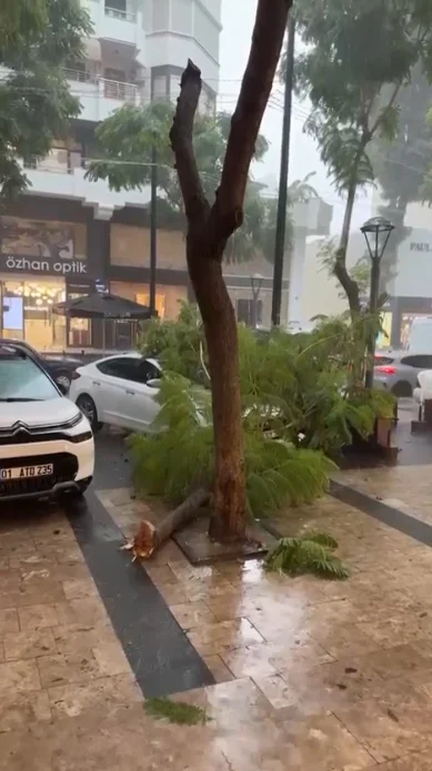 Adana’da şiddetli yağış; ağaçlar devrildi, ev ve iş yerlerini su bastı! 5 Adana’da şiddetli yağış; ağaçlar devrildi, ev ve iş yerlerini su bastı!