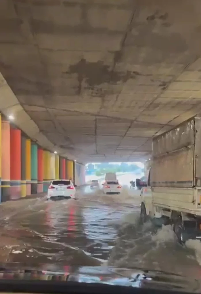Adana’da şiddetli yağış; ağaçlar devrildi, ev ve iş yerlerini su bastı! 7 Adana’da şiddetli yağış; ağaçlar devrildi, ev ve iş yerlerini su bastı!