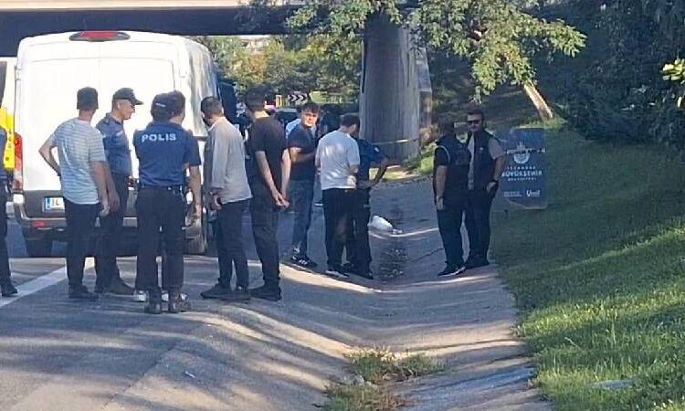 SON DAKİKA! Yol kenarındaki poşette pimi çekilmemiş 2 el bombası bulundu 1 SON DAKİKA! Yol kenarındaki poşette pimi çekilmemiş 2 el bombası bulundu