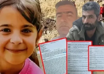 Halim Yılmaz yazdı l Narin cinayetinde, Diyarbakır bürokrasisinin hataları
