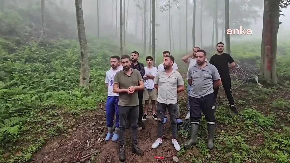 Ağaç kesimini engellemek isteyen köylülere ateş açıldı: 1 ölü, 2 yaralı