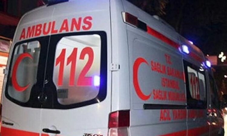 Mardin'de bal yerken dilini arı sokan kişi hayatını kaybetti 1 Mardin’de bal yerken dilini arı sokan kişi hayatını kaybetti