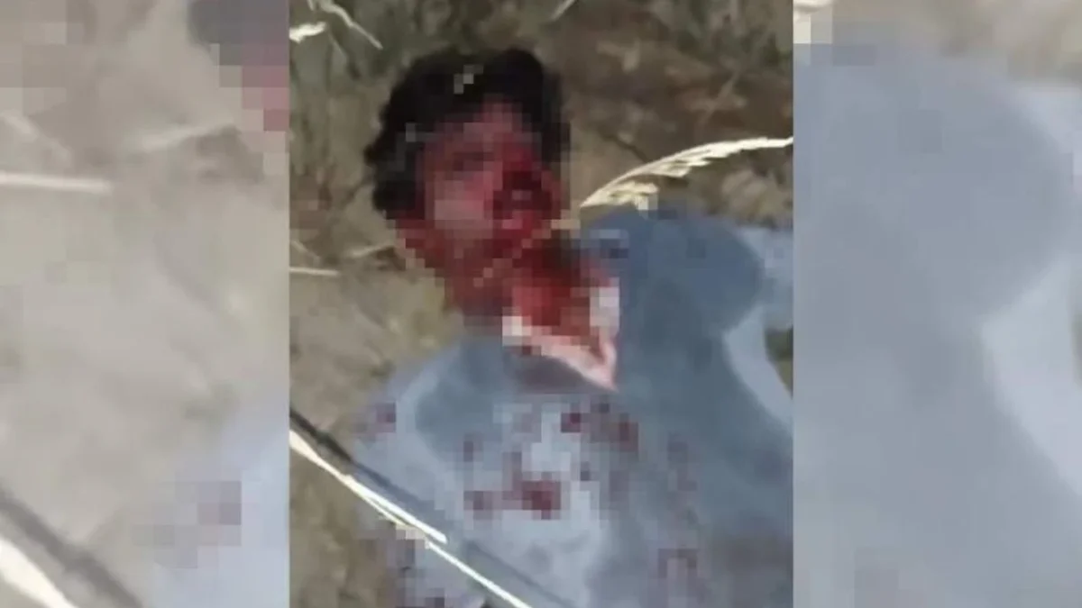 Türkiye'nin gözü Narin'deyken Mersin'den de iğrenç bir haber geldi 2 Türkiye'nin gözü Narin'deyken Mersin'den de iğrenç bir haber geldi