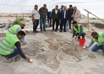 Fidan dikmek için satın aldığı arsada Bizans’tan kalma taban mozaik buldu