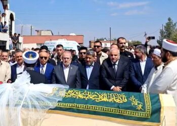Hüsnü Yusuf Turabiç yazdı l Ah Narin!