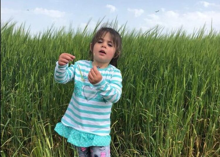 Leyla Aydemir davasında amca Yusuf Aydemir tutuklandı 1 Halis Gül yazdı l Narin – Leyla – Müslüme…