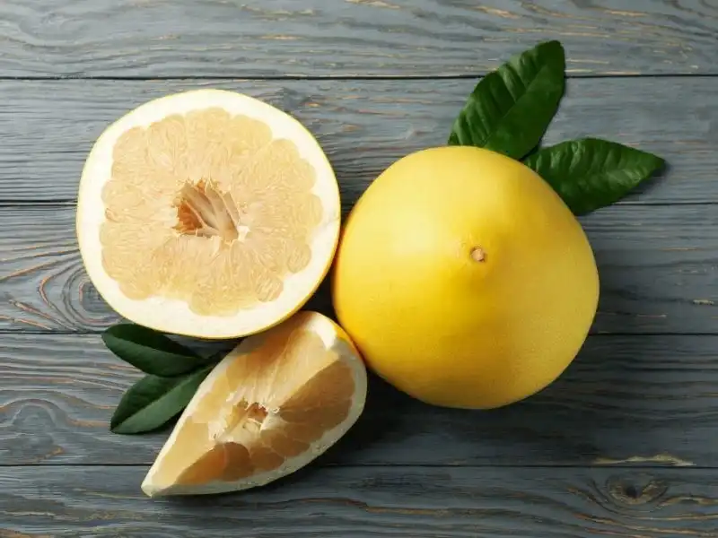 Limon gibi görünen bu meyve, ağaç kavunu! 3 Limon gibi görünen bu meyve, ağaç kavunu!