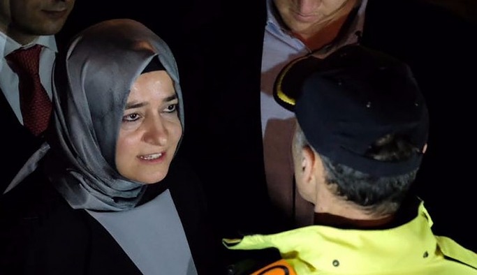Fatma Sayan’ın kardeşi, ikinci kez büyükelçi yapıldı 4 Fatma Sayan’ın kardeşi, ikinci kez büyükelçi yapıldı