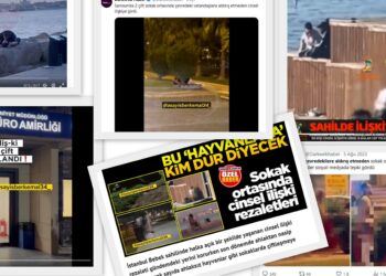 Halis Gül yazdı l Kim bunlar? Nereden çıktı bu sokakta sevişme furyası?