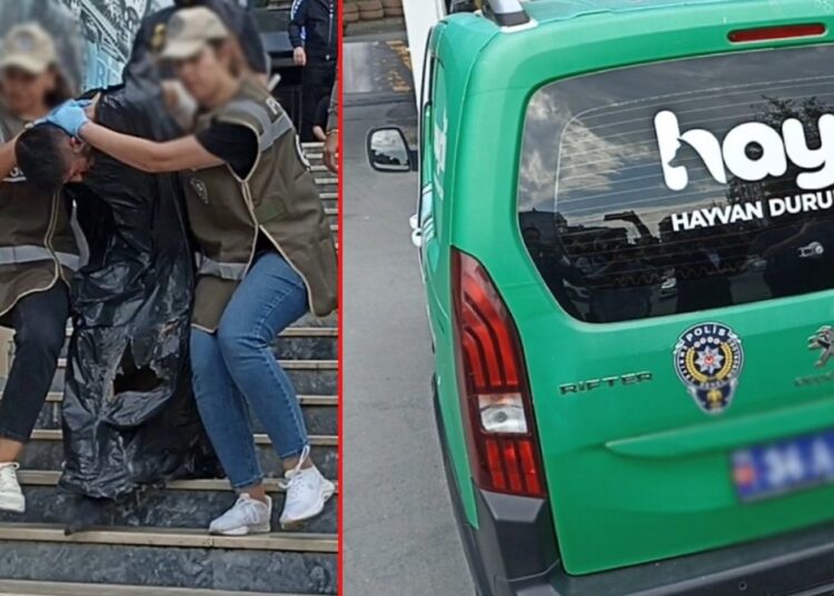 Polis memuru Şeyda Yılmaz'ın katil zanlısı tutuklandı 1 Polis memuru Şeyda Yılmaz’ın katil zanlısı tutuklandı