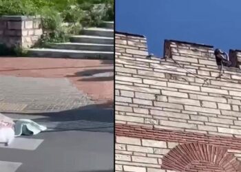 İstanbul’da vahşet: Yarım saat arayla iki kadını öldürüp intihar etti