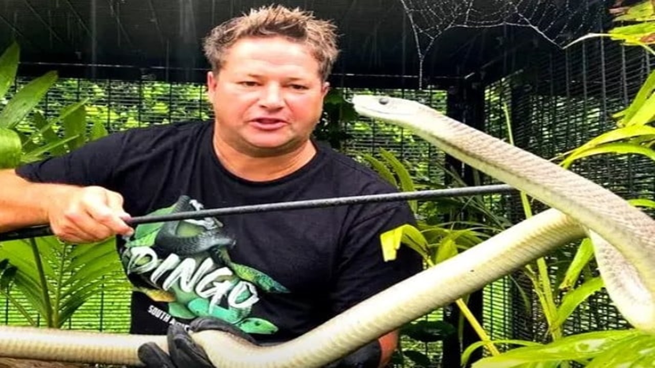 Vahşi yaşam tutkunu youtuber, kobra tarafından ısırılınca hayatını kaybetti