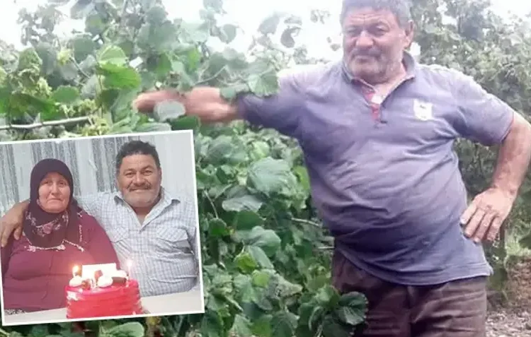 Yaban domuzu fındık bahçesinde çalışan evli çifte saldırdı! Kocanın durumu ağır 1 Yaban domuzu fındık bahçesinde çalışan evli çifte saldırdı! Kocanın durumu ağır