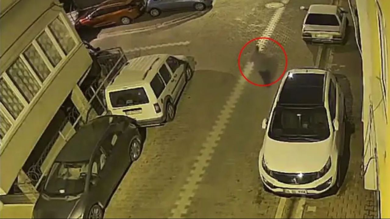 Sokak ortasında hamile kadına taciz: Şüpheli gözaltında 2 Sokak ortasında hamile kadına taciz: Şüpheli gözaltında