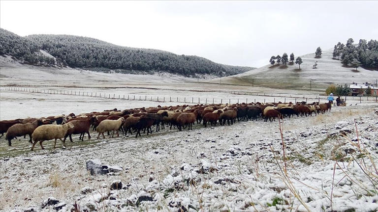 Kars'a mevsimin ilk karı düştü