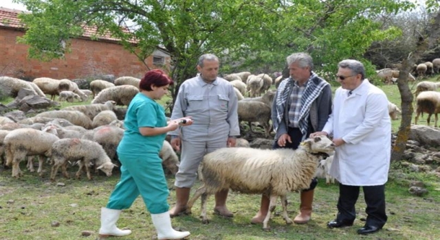 Adana’da ‘mavi dil’ salgını: Bir mahalle karantina altına alındı