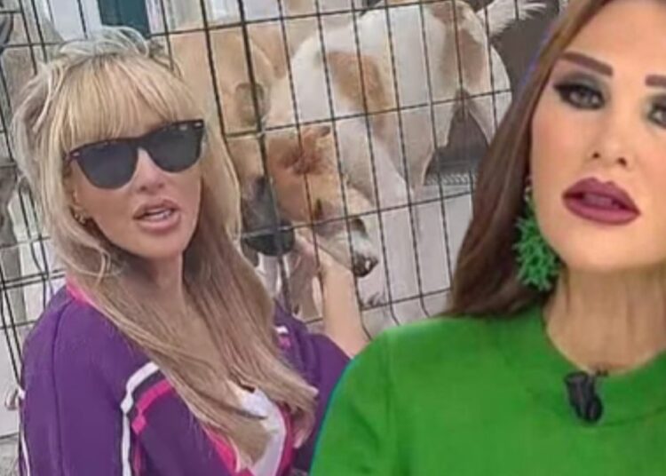 Seren Serengil: Siyasete gireceğim 1 Seren Serengil: Siyasete gireceğim