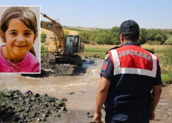 Jandarma, Narin’in yerini belki o bilir diye ‘üfürükçü’ye de gitmiş 8 Jandarma, Narin’in yerini belki o bilir diye ‘üfürükçü’ye de gitmiş