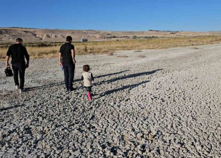 Su seviyesi azalan Van Gölü’nde korkutan görüntü