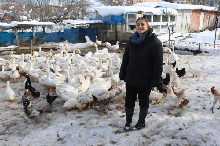 Ebru öğretmen, hayalleri için köye yerleşti, kaz yetiştiriyor 6 Ebru öğretmen, hayalleri için köye yerleşti, kaz yetiştiriyor
