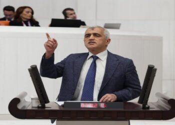 DEM Partili Gergerlioğlu: Ben Türküm, Kürtçe konuştum, Kürt olan Bozdağ sesimi kesti