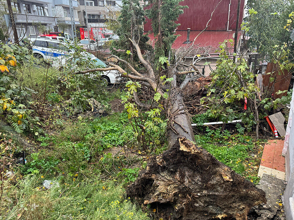 İstanbul'da şiddetli fırtına; uçaklar havada kaldı, çatılar uçtu