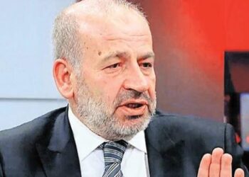 Prof. Dr. İzzet Özgenç: Kayyımlarda Efkan Ala’nın rolü var
