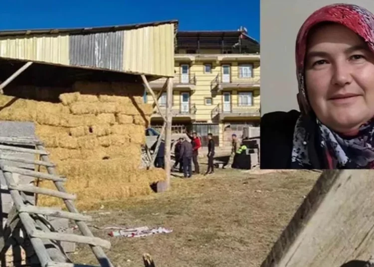 Kayıp kadının cesedi samanlıkta bulundu! 18 gündür aranıyordu, 12 saat önce ölmüş 1 Kayıp kadının cesedi samanlıkta bulundu! 18 gündür aranıyordu, 12 saat önce ölmüş