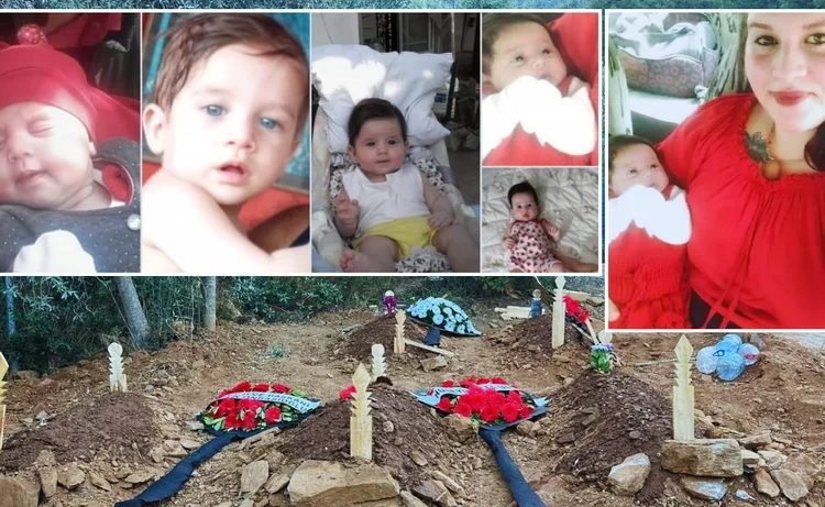 Mercan Bulut’un analiz haberi l Üzüm yemek mi, bağcıyı dövmek mi?