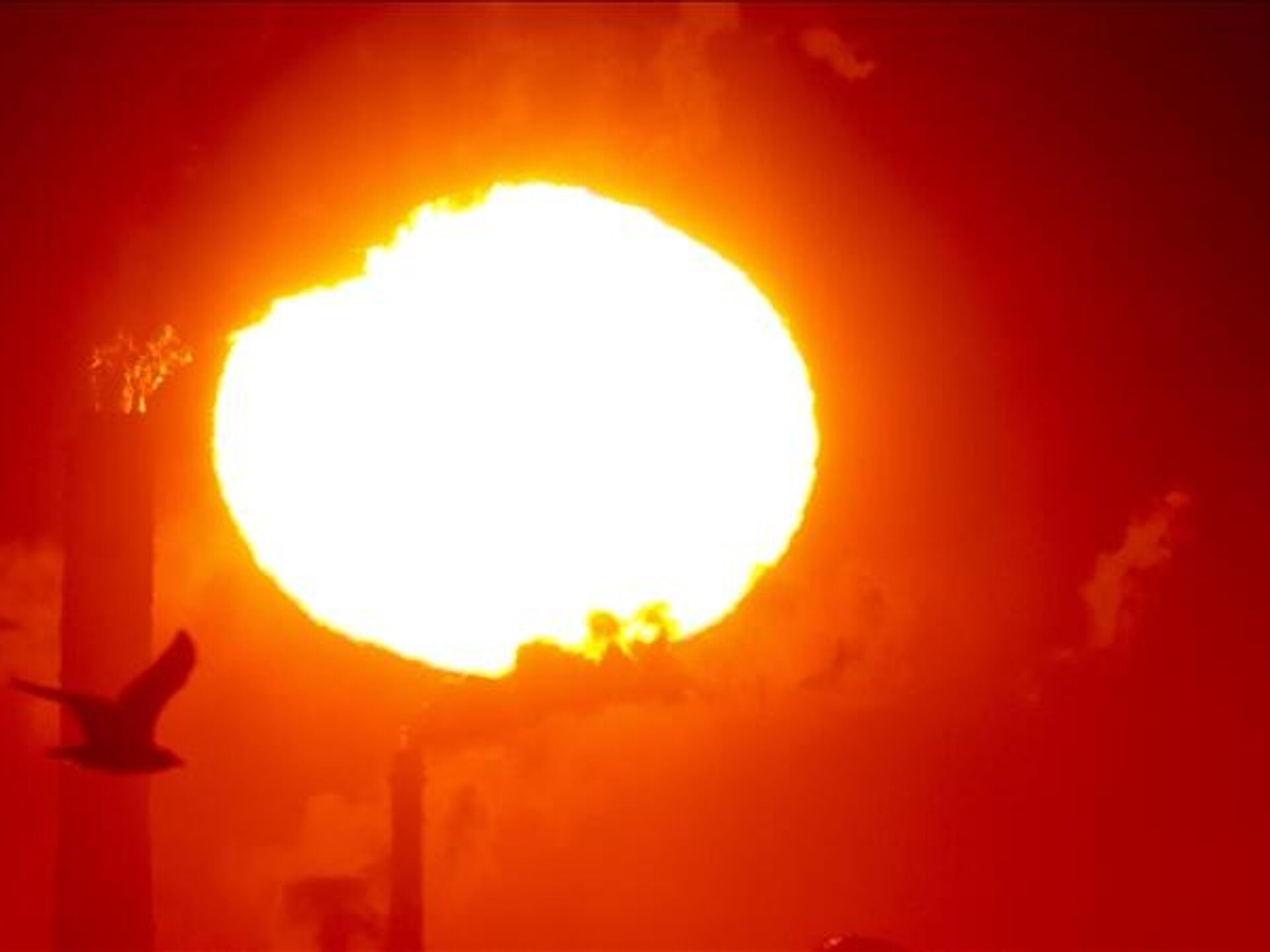 Dünya Meteoroloji Örgütü’ne göre, 2024 "kayıtlardaki en sıcak yıl olma yolunda" 2 Dünya Meteoroloji Örgütü’ne göre, 2024 "kayıtlardaki en sıcak yıl olma yolunda"