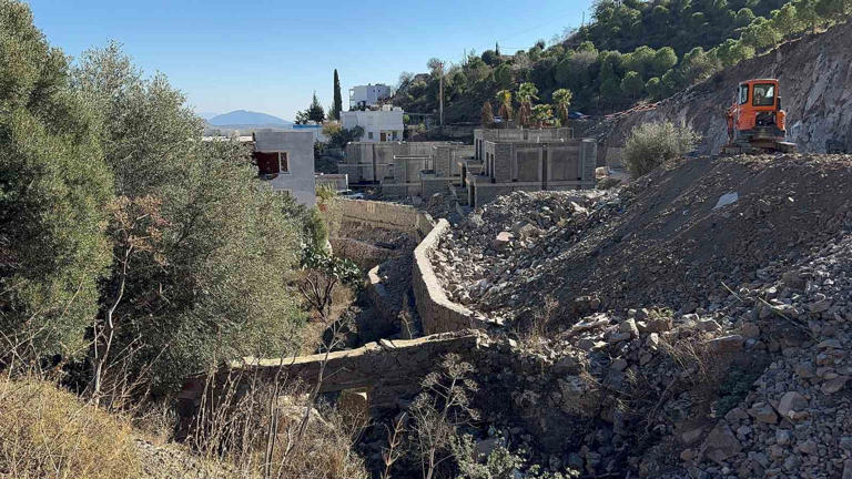 Suavi’nin Bodrum’daki arazisinde ağaçların kesildiği iddia edildi 2 Suavi’nin Bodrum’daki arazisinde ağaçların kesildiği iddia edildi