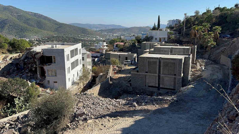 Suavi’nin Bodrum’daki arazisinde ağaçların kesildiği iddia edildi 3 Suavi’nin Bodrum’daki arazisinde ağaçların kesildiği iddia edildi