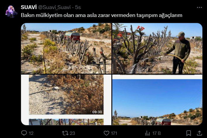 Suavi’nin Bodrum’daki arazisinde ağaçların kesildiği iddia edildi 6 Suavi’nin Bodrum’daki arazisinde ağaçların kesildiği iddia edildi