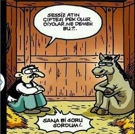 Hafta sonu eğlencesi karikatürler...